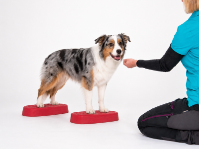 Aero-Step® One trainingsplatform