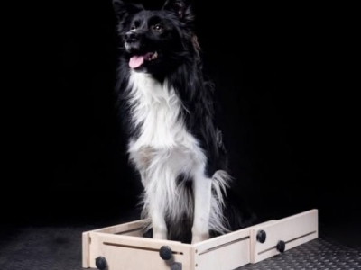 Wooddog shapingbox / positiebox, hout