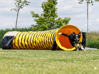 Agility Tunnel 6 meter Volledig Anti-Slip