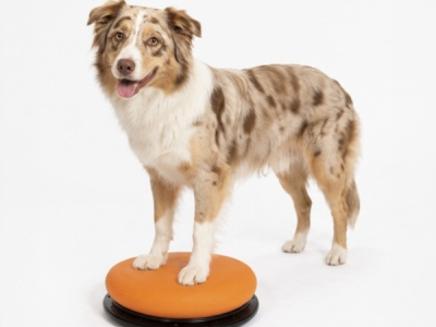 Balkussen-Balanstrainer Pro, oranje