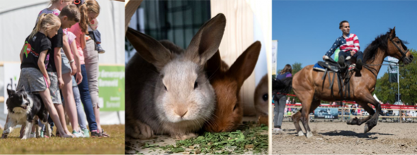 Bezoek ons tijdens het Animal Event