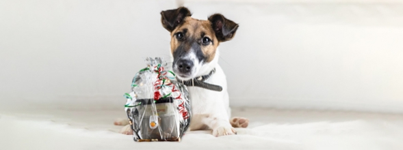 Voor de feestdagen: Cadeaubon pakket