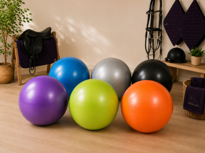Gymnic Plus zitbal 65 cm