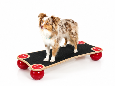 Dog Balance Step Medium, incl. anti-slip mat