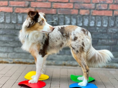 Educ o Disks targetschijven, set van 4
