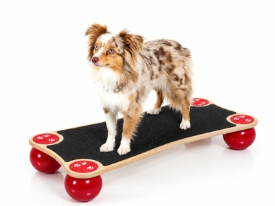 Dog Balance Step Medium, incl. anti-slip mat