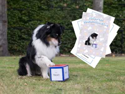 Opdrachten dobbelsteen