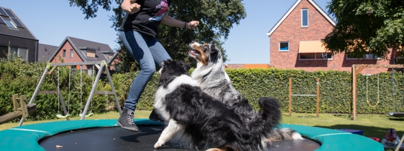 Samen fit met je hond de zomer in!