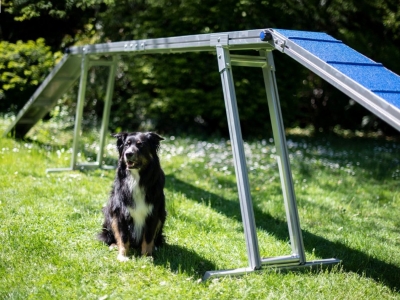 Kattenloop FCI Aluminium