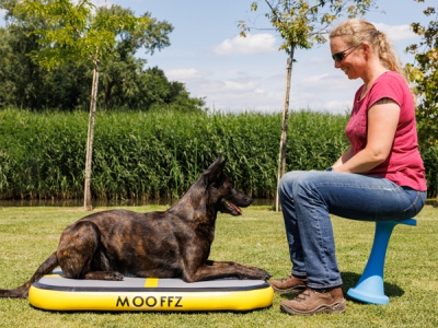 Mooffz airkussen L100 x B60 x H10 cm, geel, inclusief voetpomp