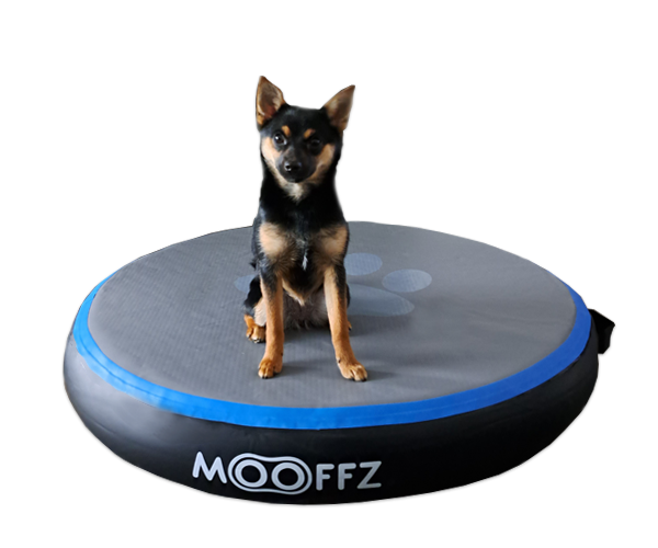 Mooffz Airspot 100 cm 