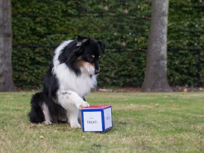Opdrachten dobbelsteen