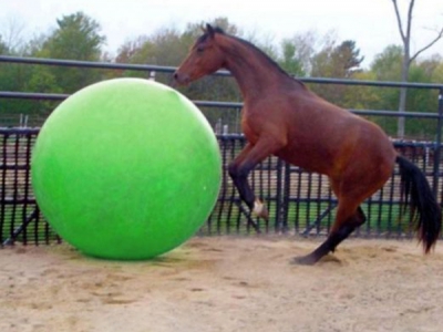 Paardenvoetbal van 85, 95 of 120 cm 