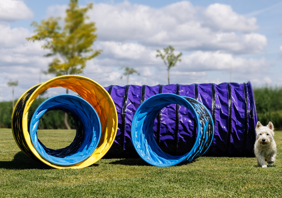 Agility Tunnels