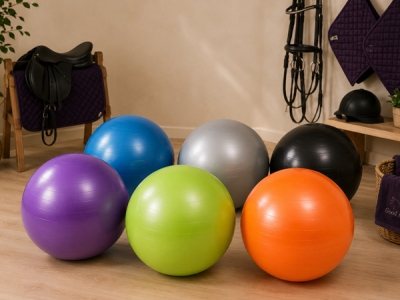 Gymnic Plus zitbal 65 cm